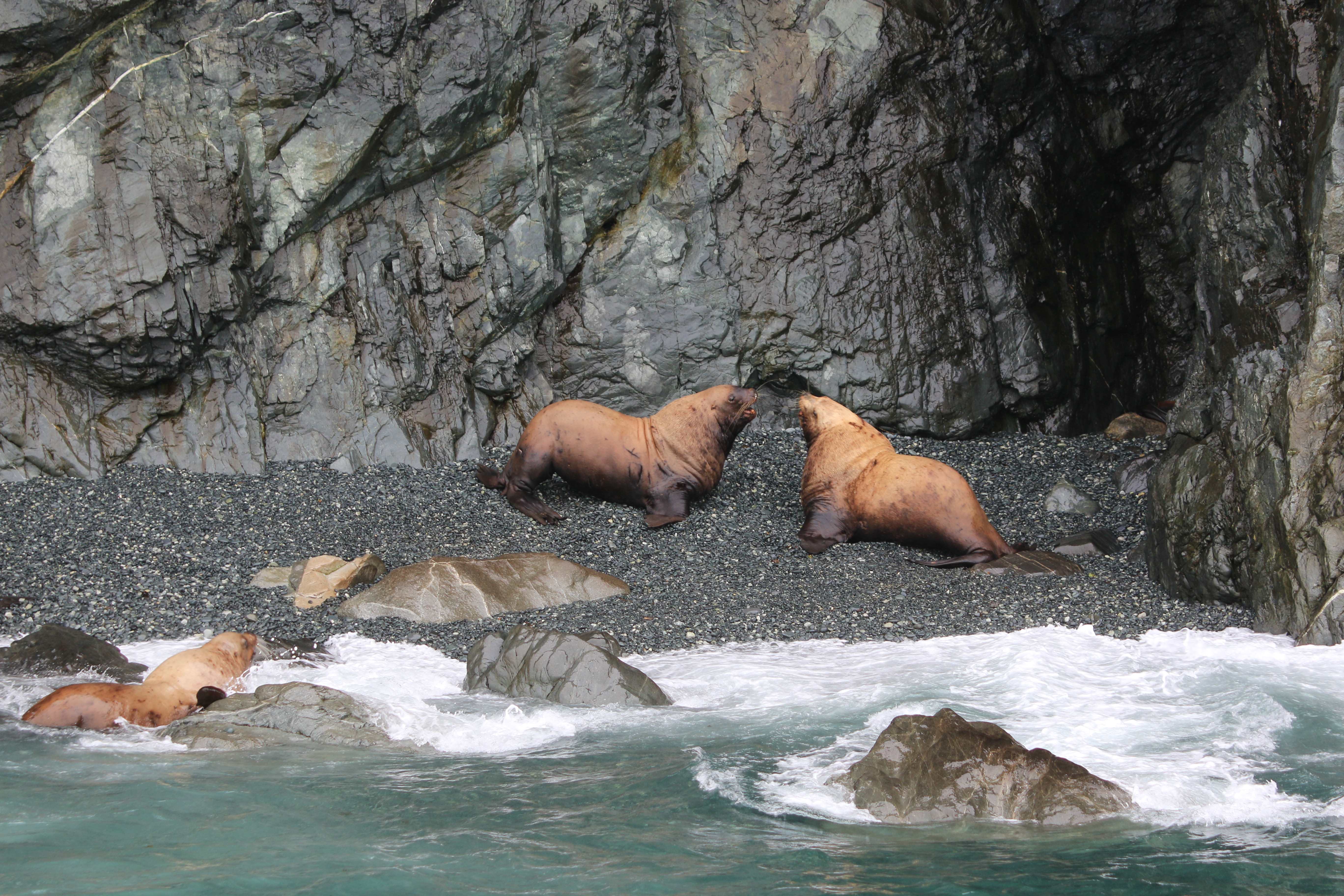 Alaska